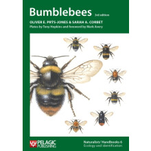 Bumblebees by Oliver E. PrysJones Paperback Book