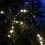 36 LEDs Λευκό Μαργαριτάρι Glarand Φωτιστικά σε Κορδόνι με Μπαταρία και Λειτουργία 5