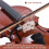1/2 4/4 Violin Bow Straighten Collimator Corrector Tool Guide for Beginner Practice Training Exercise 4