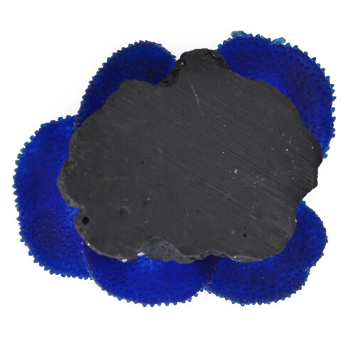 Aquarium plant artificial coral 2