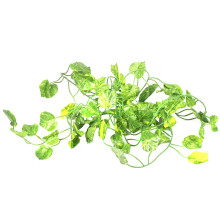 2M Long Artificial Plants Green Ivy Leaves Artificial Grape Vine Fake Parthenocissus Foliage Leaves Home Wedding Bar Decoration,Begonia