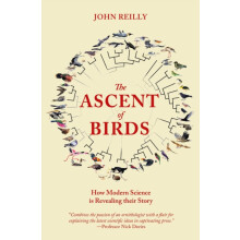 The Ascent of Birds by John Reilly Paperback Book