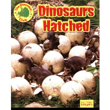Dinosaurs Hatched by Ruth Owen Paperback Book