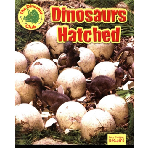 Dinosaurs Hatched by Ruth Owen Paperback Book