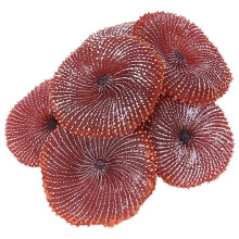 Acuario Artificial Decoracion del tanque de peces Ornamento de la planta de mar de coral Silicona no toxica Rojo
