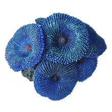 Aquarium plant artificial coral