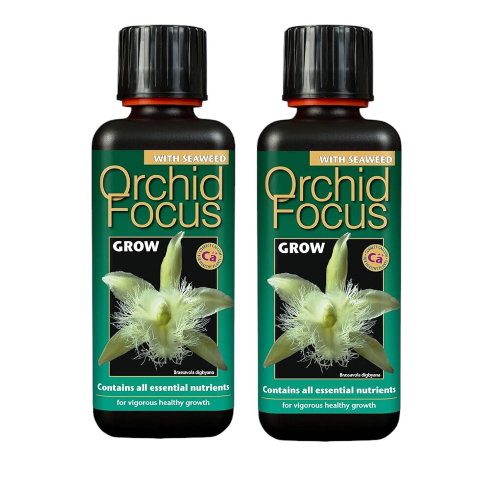 B&Q -  Orchid Focus Grow Fertiliser 300Ml Pack Of 2 For Healthy Vegetative Growth Of Leafs And Shoots - Image 2