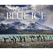 Blue Ice by Alex Bernasconi Hardcover Book