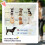 PawHut (Green) PawHut Foldable Dog Stroller with Mesh Windows for Mini Dogs 4