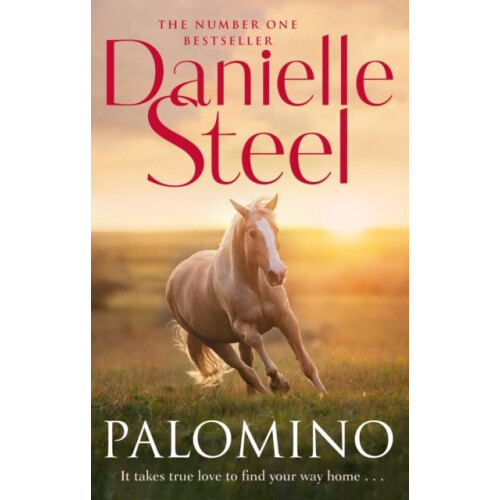Palomino by Danielle Steel Paperback Book