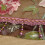 Cortina de tule voile floral transparente 78,74 x 39,37 polegadas, cor vinho, sem contas. 7