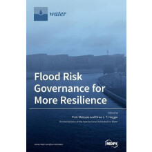Flood Risk Governance for More Resilience Hardcover Book