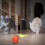 Speedy Tail 2.0 Interactive Cat Toy Ball – USB 6