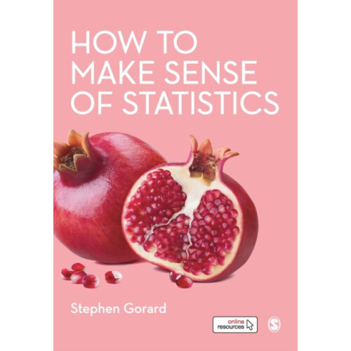 How to Make Sense of Statistics by Stephen Gorard Paperback Book