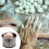 Manual Dumpling Maker Press for Easy Wrapping and TimeSaving Home or Restaurant Use 3