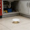 2Stk Robuste Weiße Sprinklerabdeckplatten Verdeckt Für Innenbereiche 5