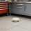 2Stk Robuste Weiße Sprinklerabdeckplatten Verdeckt Für Innenbereiche 7