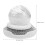 2Sets White Kitchen Dish Brush with Handle Pet+pp Steel Wire Scrubber 10