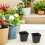 100Pcs Durable Black Plastic Square Plant Nursery Pots with Root Space 5