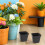 100Pcs Durable Black Plastic Square Plant Nursery Pots with Root Space 4