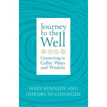 Journey to the Well by Deirdre Ni Chinneide Paperback Book