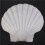 15 PeçAs Natural Sea Shell  Branco, Conchas de Vieira de 4-4,7 Polegadas para Artesanato DIY, Servir Comida, Assar e Mais 7