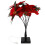 Κόκκινο πλαστικό φωτιστικό δέντρου Poinsettia Χριστουγεννιάτικη διακόσμηση 1 τεμ. 6