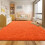 Soft shag rug orange 4x6 ft plush non-slip 4