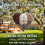 Handmade Iron Bird Nesting Heart with Refillable Natural 4
