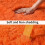 Soft shag rug orange 4x6 ft plush non-slip 6