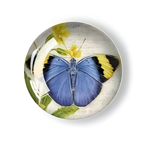 Μαγνήτες ψυγείου, μαγνήτες ψυγείου Vintage Butterfly Design, ισχυροί μαγνητικοί μαγνήτες 2