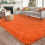 Soft shag rug orange 4x6 ft plush non-slip 8