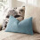 Conjunto de 2 capas de almofada de chenille macio, 30x50 cm, azul claro, para almofada lombar, sofá, poltrona e quarto – Compatíveis com 6