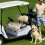 Golfkarstoelhoes van microvezel, 51" x 31" 8