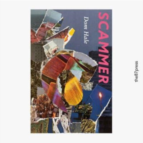 Scammer by Dom Hale Paperback Book