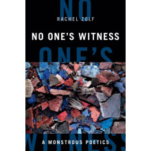 No Ones Witness by Syd Zolf Paperback Book
