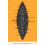 Canoes by Maylis de Kerangal Hardcover Book 1