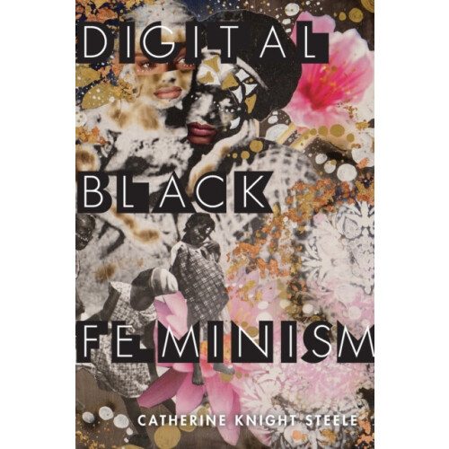 Digital Black Feminism by Catherine Knight Steele Paperback Book