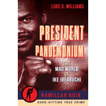 The President of Pandemonium by Luke G. Williams Paperback Book