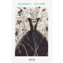 Into Eros by Zoe Brigley Paperback Book