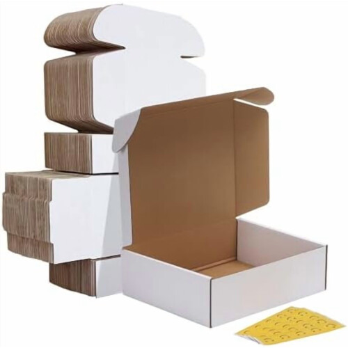 Verzenddozen 10x8x3 inch, wit, gegolfd, set van 25