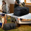 Large Multi-Purpose Storage Bag Outdoor Camping Moving 4