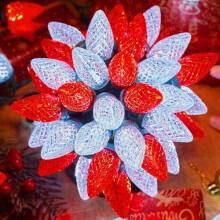 C9LED kerstverlichting voor buiten, 19 meter, 100 LED's, rood en wit