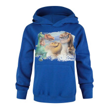 Disney Hoodie (Boys Blue)