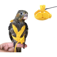 Vogeltuigje Papegaaienriem - Verstelbare Buitenvliegset voor Papegaai, Parkiet, Agapornis, Valkparkiet, Ara, Parkiet (Paars, M)