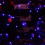 Συσκευασία 2 τεμαχίων 72ft Μωβ Ηλιακά Φώτα Halloween, 400LED, Αδιάβροχα, 8 Λειτουργίες, για 4