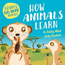 Zany Brainy Animals How Animals Learn by Ashley Ward Hardcover Book