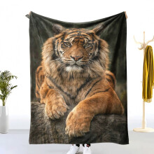 Thick Warm Tiger Print Flannel Blanket – Soft Coral Fleece Throw for Sofa, Bed, Dorm; Compatible with Home & Living Room Decor