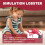 Lobster Model Simulation Lobster Kids Toy - Red 5