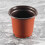 200 PçS 4 Polegadas Mudas de Flores de PláStico Suprimentos de Viveiro Vaso/Vasos Recipientes Vasos de Sementes Vasos de PlantaçãO 5